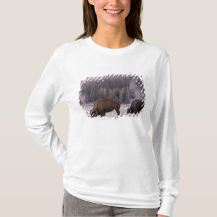 Noord-Amerika, VS, Wyoming, geelsteen NP, T-shirt