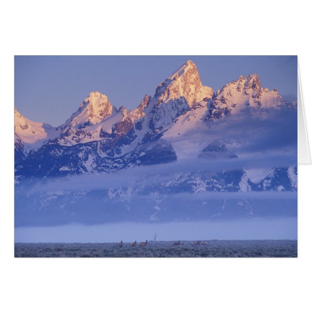 Noord-Amerika, VS, Wyoming, Grand Teton NP, 2 (Voorkant Horizontaal)