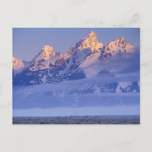 Noord-Amerika, VS, Wyoming, Grand Teton NP, 2 Briefkaart (Voorkant)