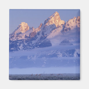 Noord-Amerika, VS, Wyoming, Grand Teton NP, 2 Magneet