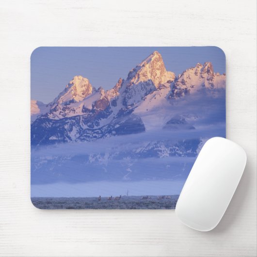 Noord-Amerika, VS, Wyoming, Grand Teton NP, 2 Muismat (Met muis)