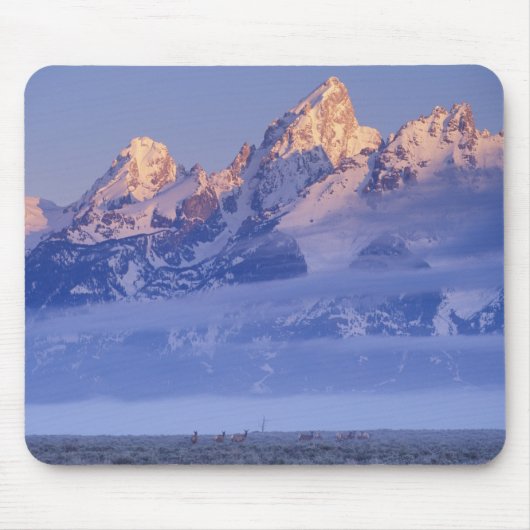 Noord-Amerika, VS, Wyoming, Grand Teton NP, 2 Muismat (Voorkant)