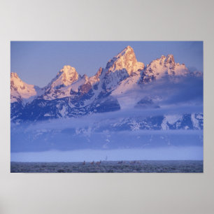 Noord-Amerika, VS, Wyoming, Grand Teton NP, 2 Poster