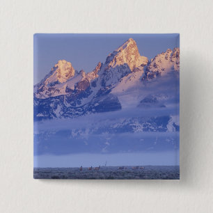 Noord-Amerika, VS, Wyoming, Grand Teton NP, 2 Vierkante Button 5,1 Cm