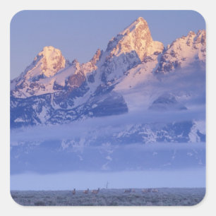 Noord-Amerika, VS, Wyoming, Grand Teton NP, 2 Vierkante Sticker