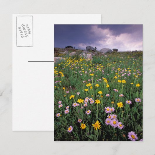 Noord-Amerika, VS, Wyoming, Yellowstone 2 Briefkaart (Voorkant / Achterkant)