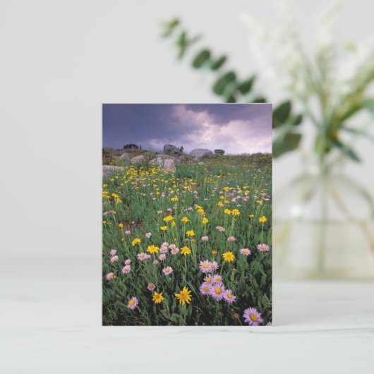 Noord-Amerika, VS, Wyoming, Yellowstone 2 Briefkaart (Staand voorkant)