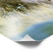 Noord-Amerika, VS, Wyoming, Yellowstone 2 Foto Afdruk (Hoek)