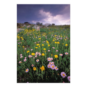 Noord-Amerika, VS, Wyoming, Yellowstone 2 Foto Afdruk