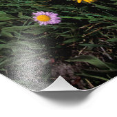 Noord-Amerika, VS, Wyoming, Yellowstone 2 Foto Afdruk (Hoek)