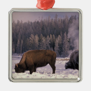 Noord-Amerika, VS, Wyoming, Yellowstone NP, Metalen Ornament
