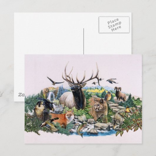 Noord-Amerikaans Wildlife Briefkaart (Voorkant / Achterkant)