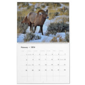 Noord-Amerikaans Wildlife Kalender (Feb 2026)