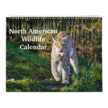 Noord-Amerikaans Wildlife