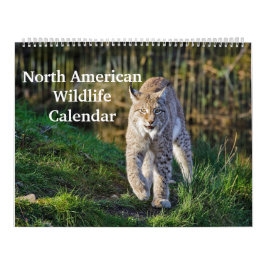 Noord-Amerikaans Wildlife Kalender