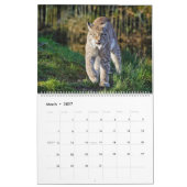 Noord-Amerikaans Wildlife Kalender (Mar 2027)
