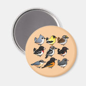 Noord-Amerikaanse achtertuin vogels Magneet (Voorkant / Achterkant)