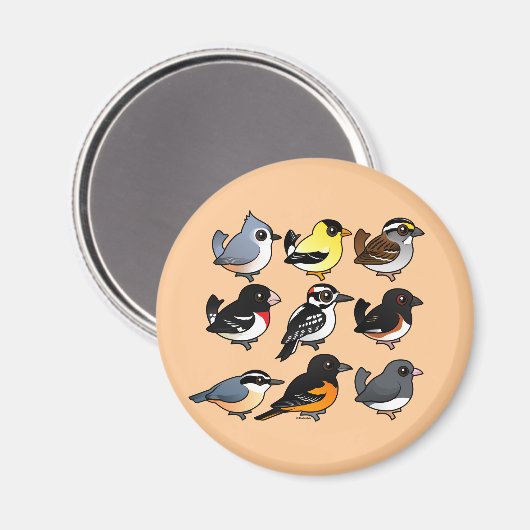 Noord-Amerikaanse achtertuin vogels Magneet (Voorkant / Achterkant)