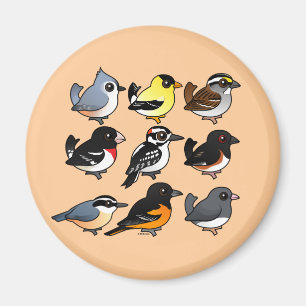 Noord-Amerikaanse achtertuin vogels Magneet