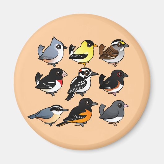 Noord-Amerikaanse achtertuin vogels Magneet (Voorkant)