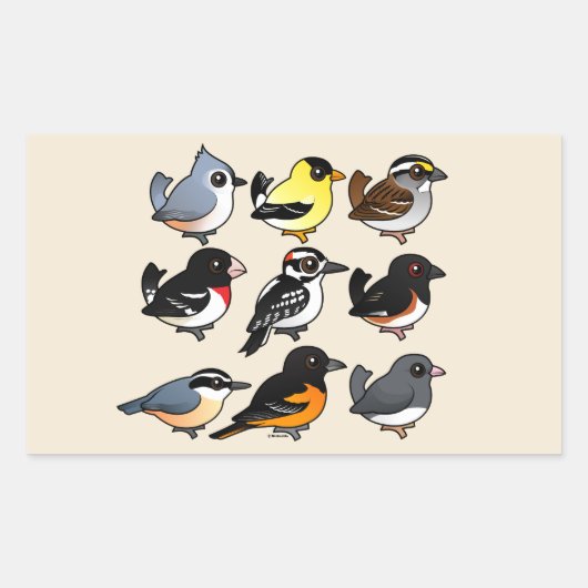 Noord-Amerikaanse achtertuin vogels Rechthoekige Sticker (Voorkant)