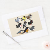 Noord-Amerikaanse achtertuin vogels Rechthoekige Sticker (Envelop)