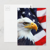 Noord-Amerikaanse Bald Eagle onder Amerikaanse vla Briefkaart (Voorkant / Achterkant)