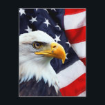 Noord-Amerikaanse Bald Eagle onder Amerikaanse vla Briefkaart<br><div class="desc">Noord-Amerikaanse Bald Eagle onder Amerikaanse vlag</div>