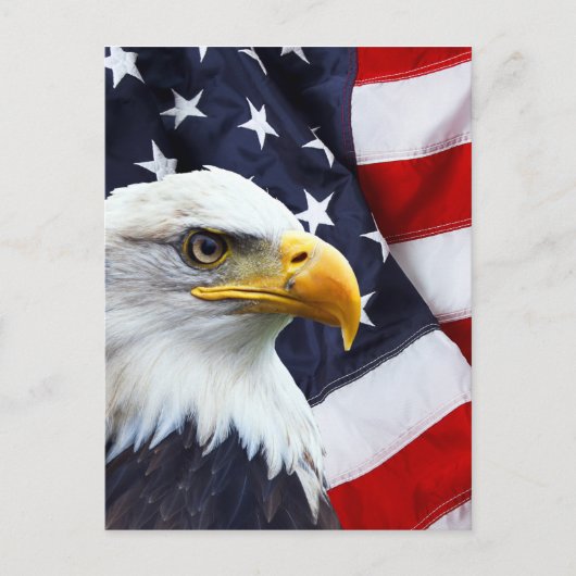 Noord-Amerikaanse Bald Eagle onder Amerikaanse vla Briefkaart (Voorkant)