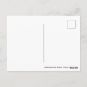 Noord-Amerikaanse bever in water Briefkaart (Achterkant)