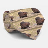 Noord-Amerikaanse bever ter plekke Stropdas (Opgerold)