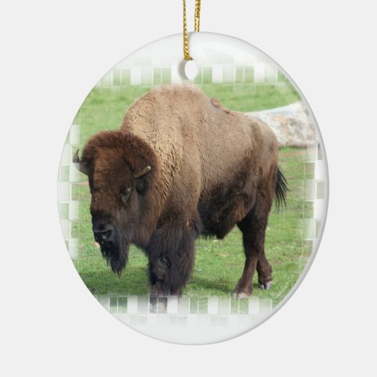 Noord-Amerikaanse Bison Ornament (Links)