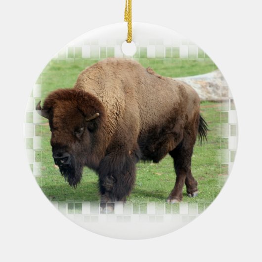 Noord-Amerikaanse Bison Ornament (Achterkant)
