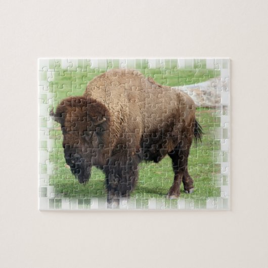 Noord-Amerikaanse Bison Puzzle Legpuzzel (Horizontaal)
