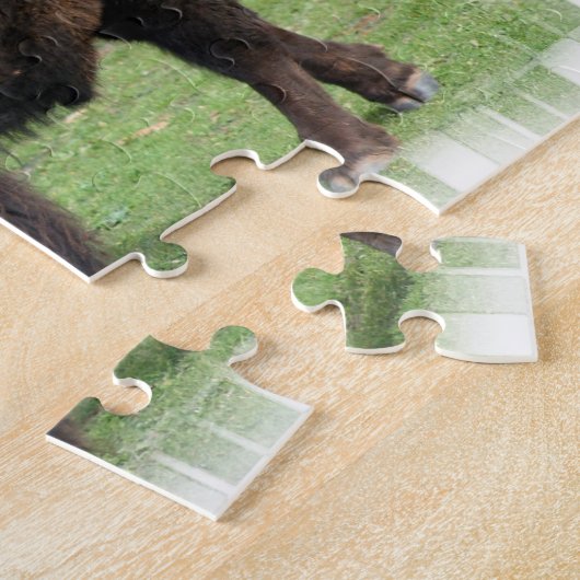 Noord-Amerikaanse Bison Puzzle Legpuzzel (Zijkant)