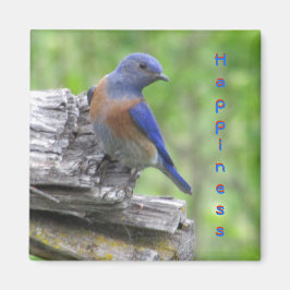 Noord-Amerikaanse Bluebird of Happiness Magneet