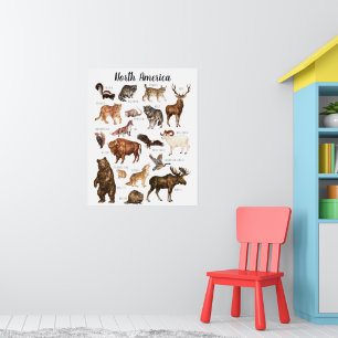 Noord-Amerikaanse Dieren Onderwijs Klaslokaal Poster