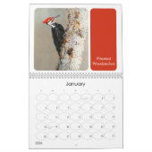 Noord-Amerikaanse geschilderde vogels achtertuin v Kalender (Jan 2026)