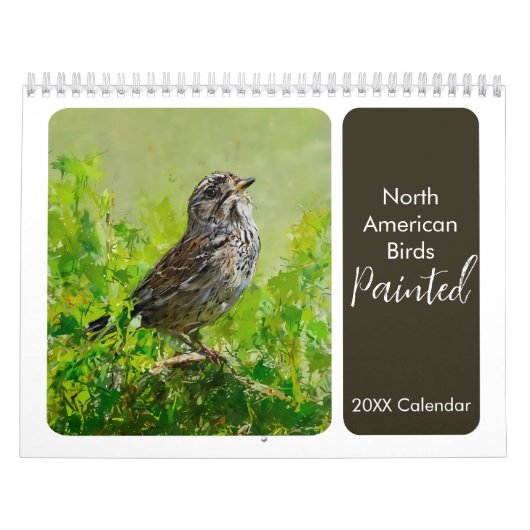 Noord-Amerikaanse geschilderde vogels achtertuin v Kalender (Hoes)