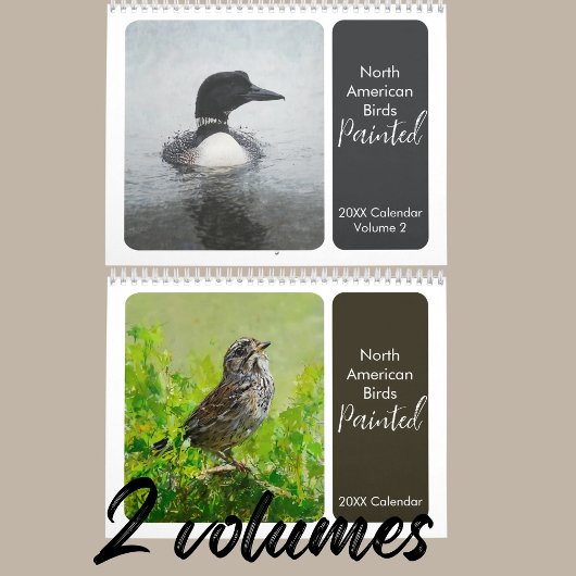 Noord-Amerikaanse geschilderde vogels achtertuin v Kalender