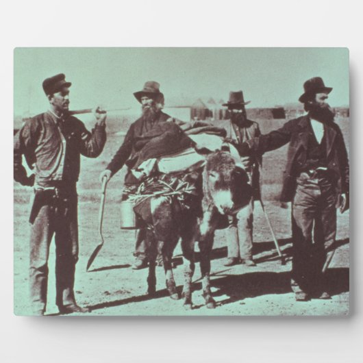 Noord-Amerikaanse goudgravers, c.1849 (foto) Fotoplaat (Voorkant)