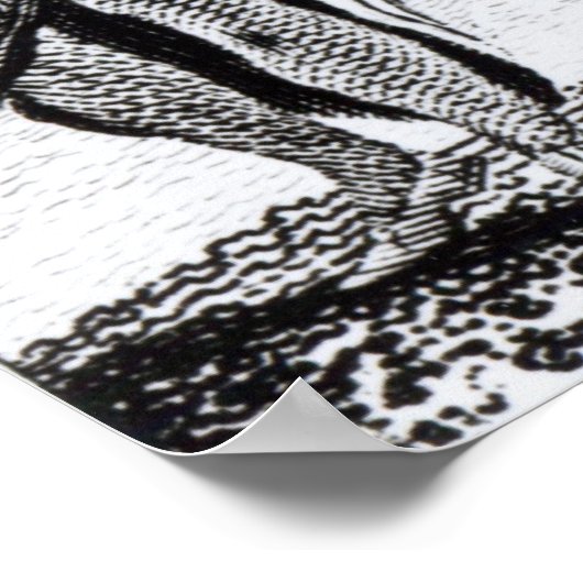 Noord-Amerikaanse Indiërs Poster (Hoek)