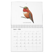 Noord-Amerikaanse kalender voor mensvogels (Mar 2026)