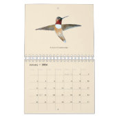 Noord-Amerikaanse kalender voor mensvogels (Jan 2026)