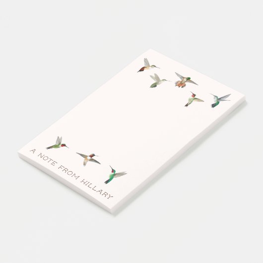 Noord-Amerikaanse kolibries Post-it Notes (Schuin)