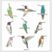 Noord-Amerikaanse kolibries Sticker (Vel)