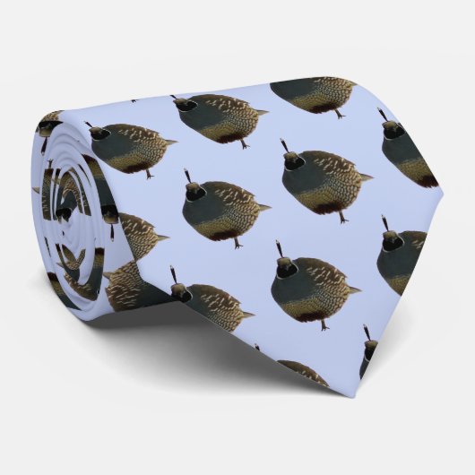 Noord-Amerikaanse kwartel Stropdas (Opgerold)