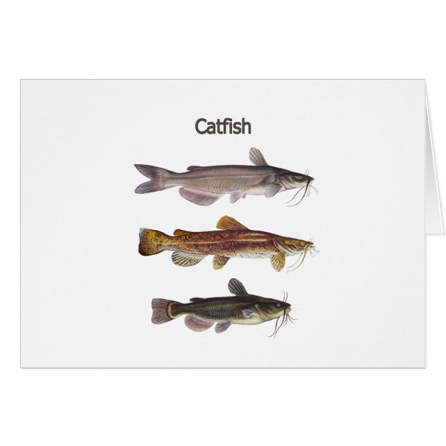 Noord-Amerikaanse Logo (Voorkant Horizontaal)