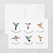 Noord-Amerikaanse mensvogels Briefkaart (Voorkant / Achterkant)