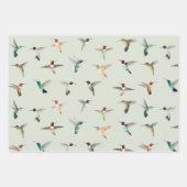 Noord-Amerikaanse mensvogels Inpakpapier Vel (Voorkant 3)